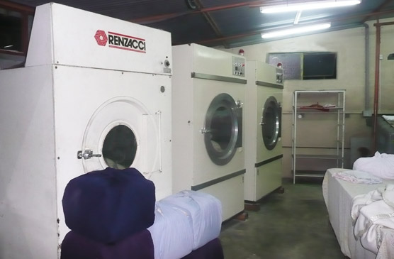 Dry Clean